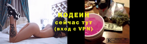 соль ск Дмитров