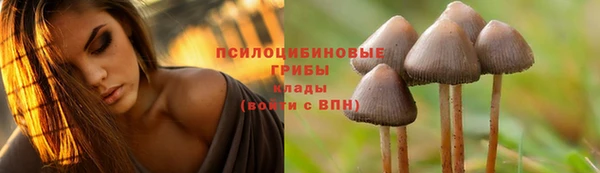 меф Няндома