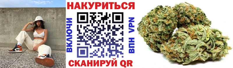 где купить наркоту  Светлогорск  Бошки Шишки THC 21% 